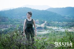 《鳄鱼与牙签鸟》张天爱为戏攀岩 网友:“南”